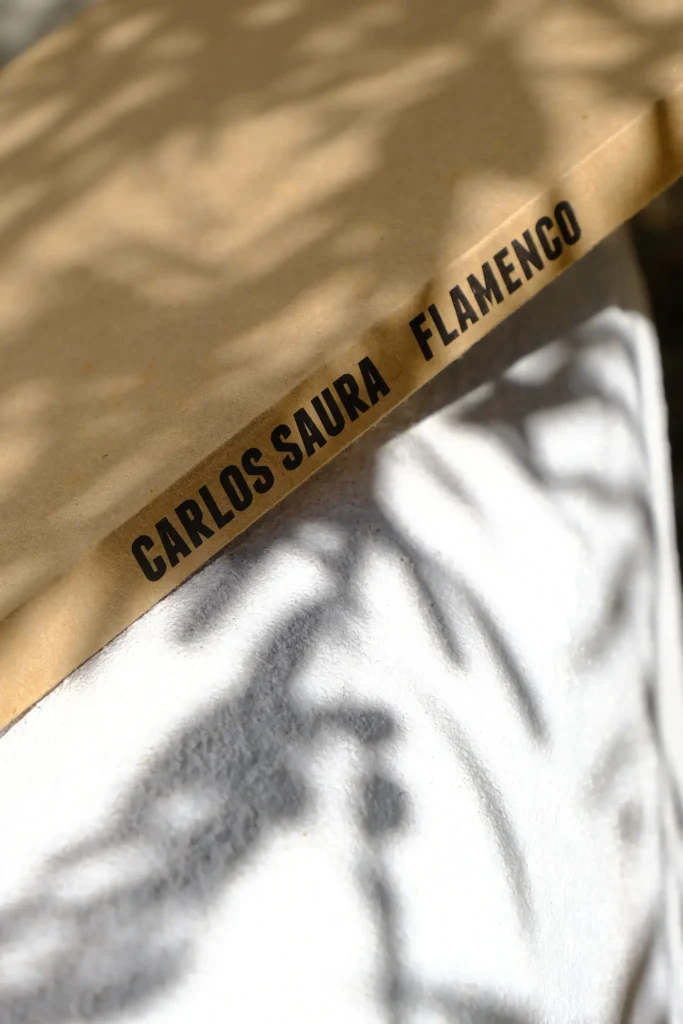 Detalle de la cubierta del catálogo de la exposición Flamenco, de Carlos Saura